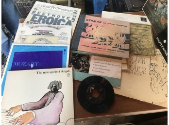 Huge Lot Of Records- Box #1