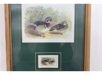 Pair Of Framed And Matted Duck Stamp Prints