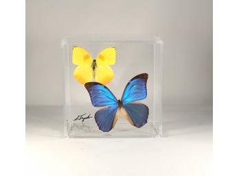Colorful Butterflies Wall Art In Lucite Frame Signed