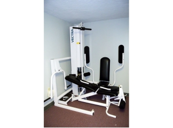 Vectra Precision 12-in-1 Home Workout Station