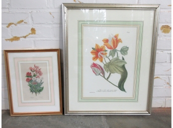 Hand Colored 19th Century Botanical With Vintage Botanical, Both Well Framed
