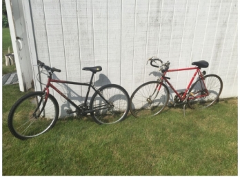 Schwinn And Nishiki Bicycles