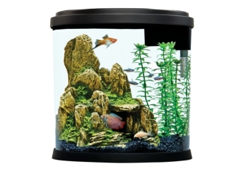 Top Fin Enchant Aquarium Kit- 3.5 Gallon