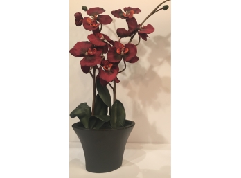 Red Silk Orchid