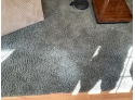 Shag Carpet In Olive Green 12' X 18'