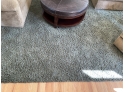Shag Carpet In Olive Green 12' X 18'