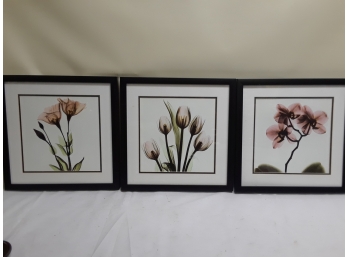 Three Framed Floral Wall Hanging Pictures