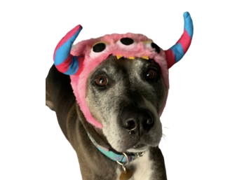 Monster Hat & Pink Wig For Dogs, Size M/L