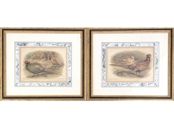 Pair Of Pheasant Prints
