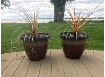 Two Decorative Planters