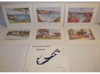 Vintage Bermuda Print Set
