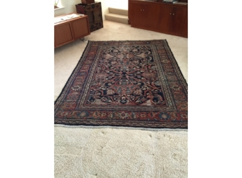 Oriental Area Carpet