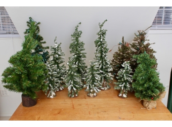 Thirteen Decorative Table Top Christmas Trees