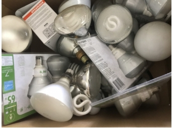 Box Lot Of Outdoor Light Bulbs