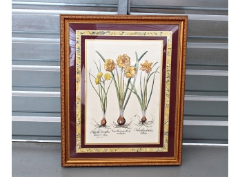 Decorative Floral Botanical Print