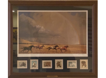 Framed Print By Bob Peters ' Flying Colors'
