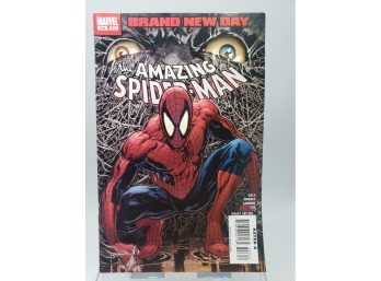 The Amazing Spider-Man #553 (2008) Marvel