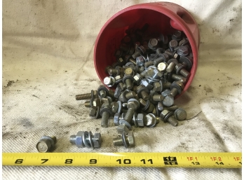 Assorted Bolt With Metal And Rubber Washers