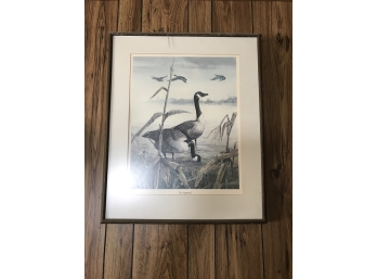 Framed Picture Of Geese