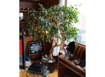 Beautiful Fica Tree - Tree Is Real! Good Condition - Item #153