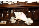 Huge Lot Of Shell Collections & Quartz Collections - From All Over The World!! BSMT Item #101