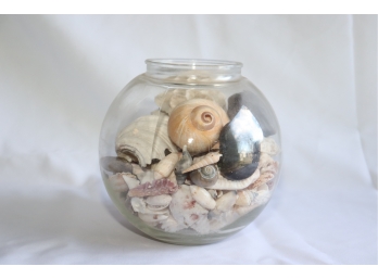 Glass Fish Bowl Filled With Shells