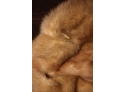Vintage Fox Fur Shawl
