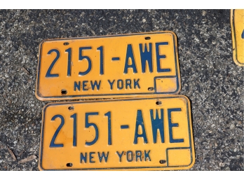 Pair Of Gold And Blue New York License Plates
