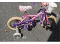 Girl's Trek Mystic Training Wheels Bicycle