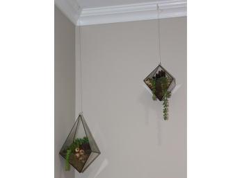 Pair Of Hanging Glass Artificial Terrariums