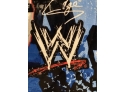 WWE Matt Hardy The Edge John Cena Blanket Wrestling