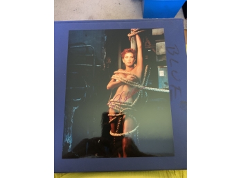 Signed 8 X 10 Glossy Photo Of Teri Hatcher - Desperate Housewives, Tomorrow Never Dies, And Coraline