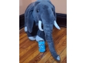 TAKE THIS GIANT MELISSA AND DOUG ELEPHANT HOME I'M DYING SO CUTE Pickup Only
