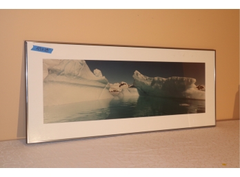 Photograph Of Icebergs 18 1/2' X 45'