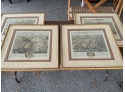 Four Framed Antique Colored Engravings/ Bookplates In Matching Frames (CTF20)