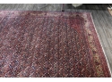 Exceptional Persian Chelsea Tabriz Room Size Rug (CTF30)