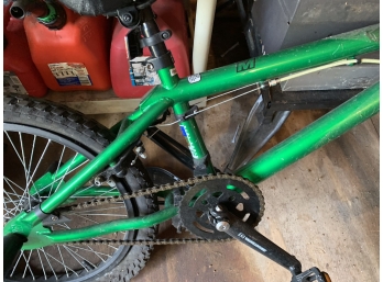 Bicycle- Green