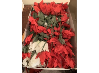 Lot Of Red And White Poinsettias