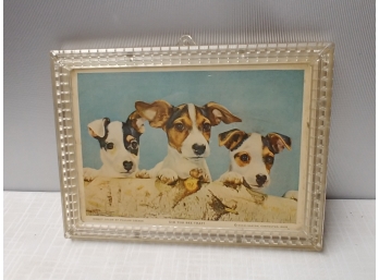 Vintage Plastic Framed Picture Of Dogs And Entitled 'did You See That'