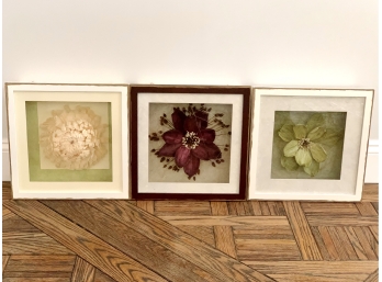 Shadow Boxes Featuring Flowers
