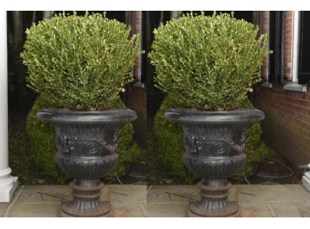 Matching Pair Of Large Cast Iron Outdoor Planters