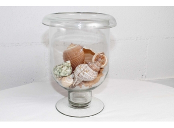 Footed Glass Urn Filled With Seashells