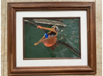 Disney Animation Cell 'finding Nemo' - Nigel (Pelican)