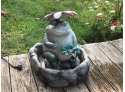 Garden Frog Water Fountain