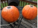 Pair Of Halloween Pumpkins