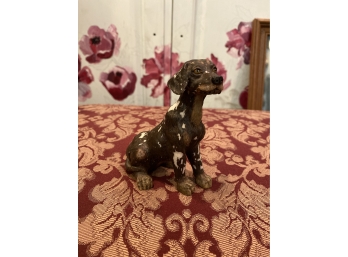 Small Decorative  Dog