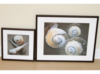 Pair Of Framed Wall Art - Shells
