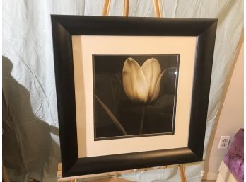 #101 Framed Photo Tulip
