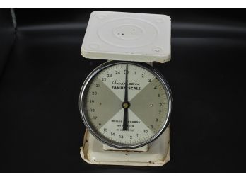 American Family Vintage Scale