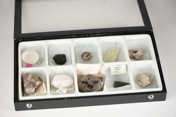 Collection Of Gemstone And Mineral Specimens W/display Case